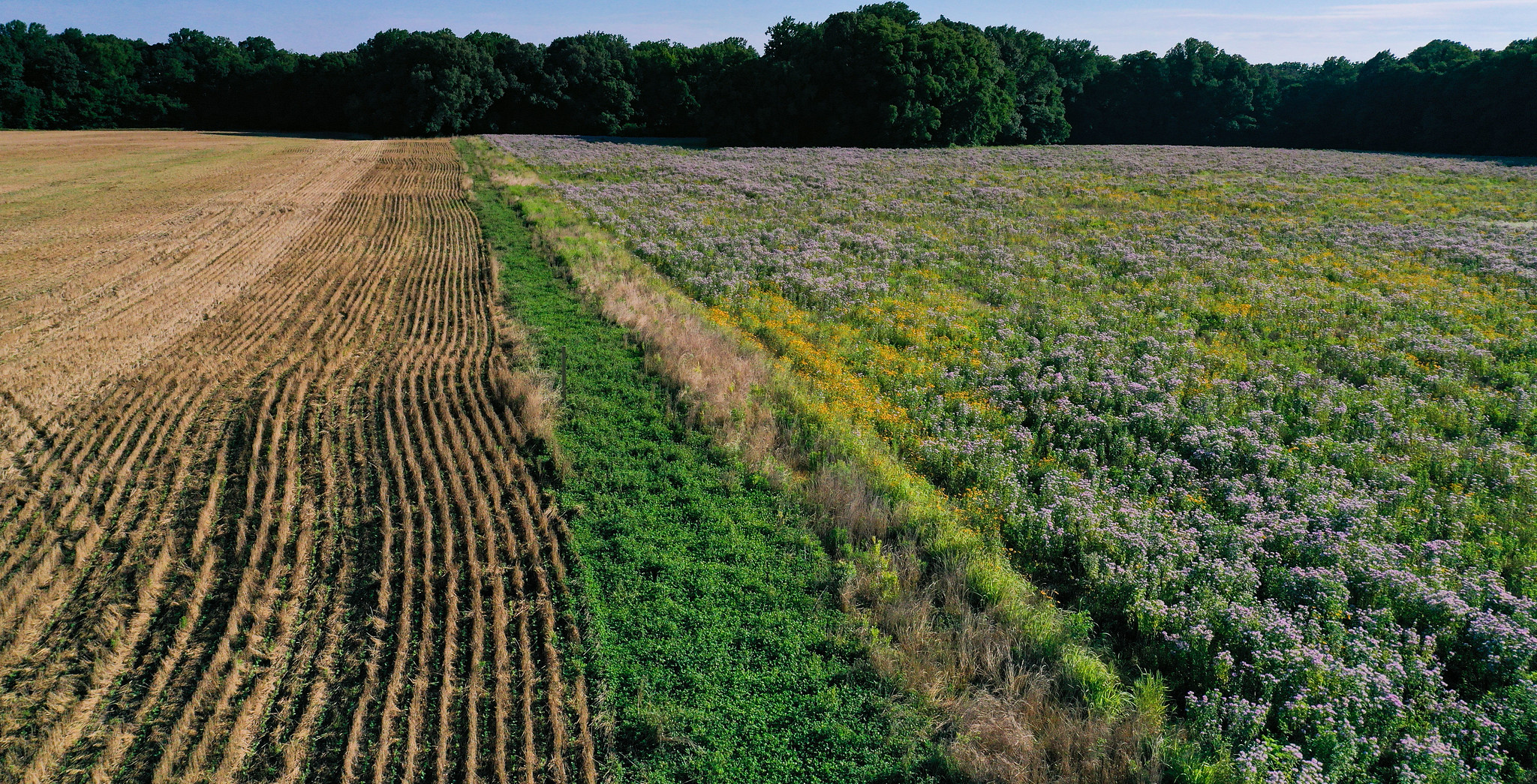 Natural Lands Project