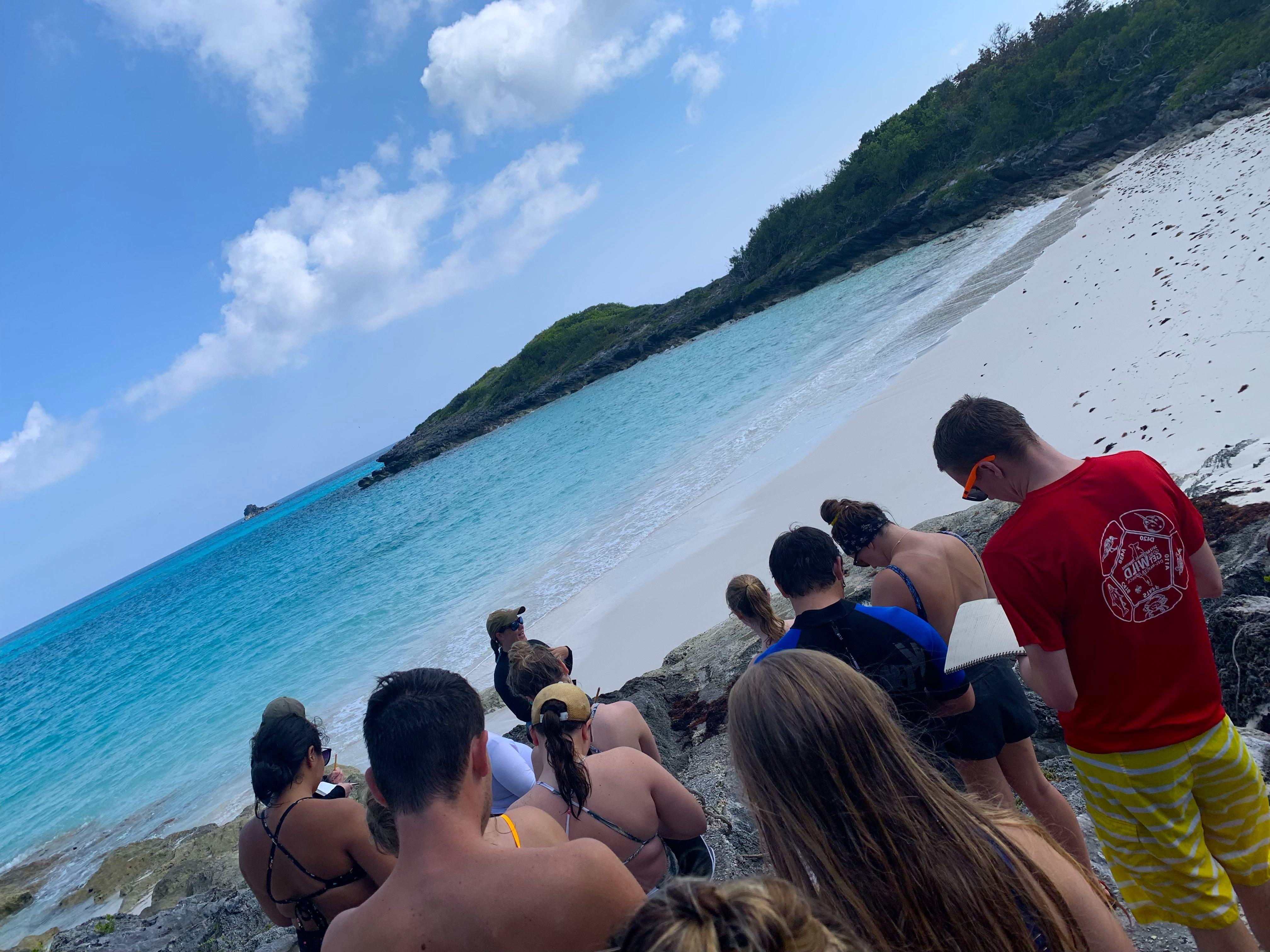 ENV/BIO Bermuda 2019